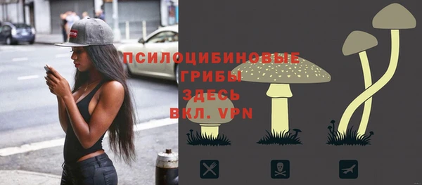 стаф Балабаново