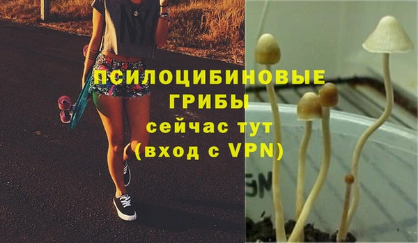 стаф Балабаново