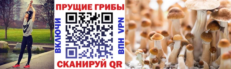 Псилоцибиновые грибы MAGIC MUSHROOMS  МЕГА как зайти  Белово  купить наркотик 